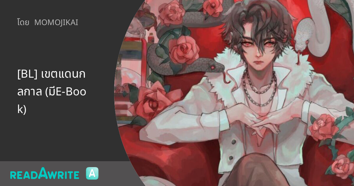 [BL] เขตแดนกลกาล (มีE-Book): แฟนตาซี เกมออนไลน์ ต่างโลก