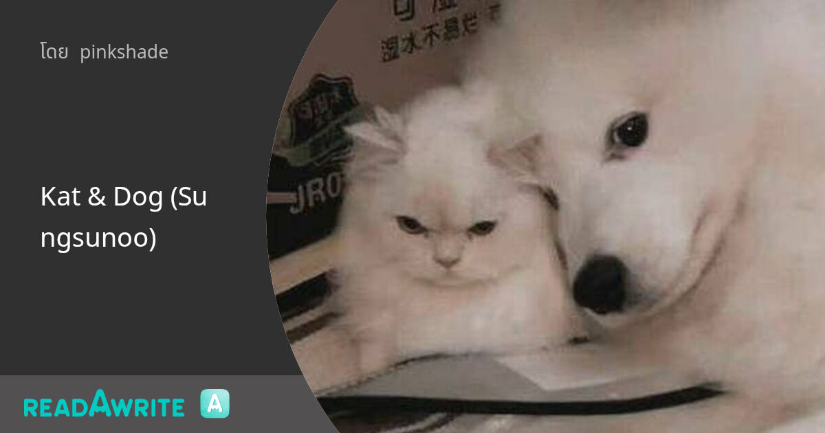 Kat & Dog (Sungsunoo): ฟิค Boy Love (แชท)